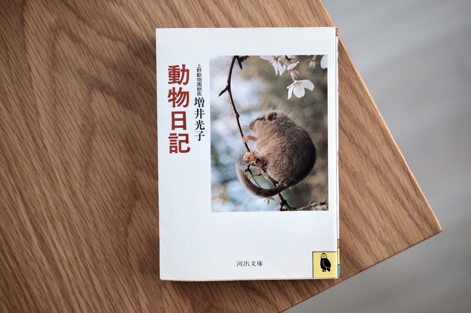【連載】本と生活と。Vol.38 増井光子『動物日記』